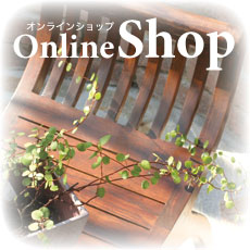 �I�����C���V���b�s���O